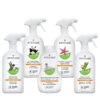 Attitude Winter Holiday Easy Cleaning Kit -Big Green Smile Shop ATTEASYCLEANKIT large@2x