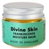 Awake Organics Travel Size Divine Skin Moisture Balm -Big Green Smile Shop AWAKEDVNBLMTRVL large@2x
