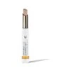 Dr. Hauschka Cover Stick -Big Green Smile Shop DRHCOVERSTICK01 large