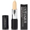 Odylique Natural Mineral Concealer -Big Green Smile Shop ESSCONCEAL large