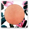 PHB Ethical Beauty Mineral Blush - Rosey Glow 1 PHB Ethical Beauty Mineral Blush - Rosey Glow -Big Green Smile Shop PHBBLUSHROSE large@2x