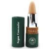 PHB Ethical Beauty Cream Concealer Stick - Porcelain -Big Green Smile Shop PHBCONCEALPOR large@2x