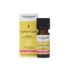 Tisserand Ylang-Ylang Organic Essential Oil (9ml) -Big Green Smile Shop TISSYLANGESSOIL9ML large@2x